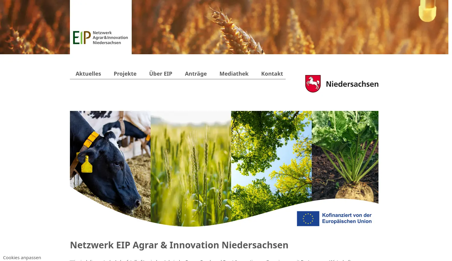 Website der Firma Niedersachsen.next GmbH