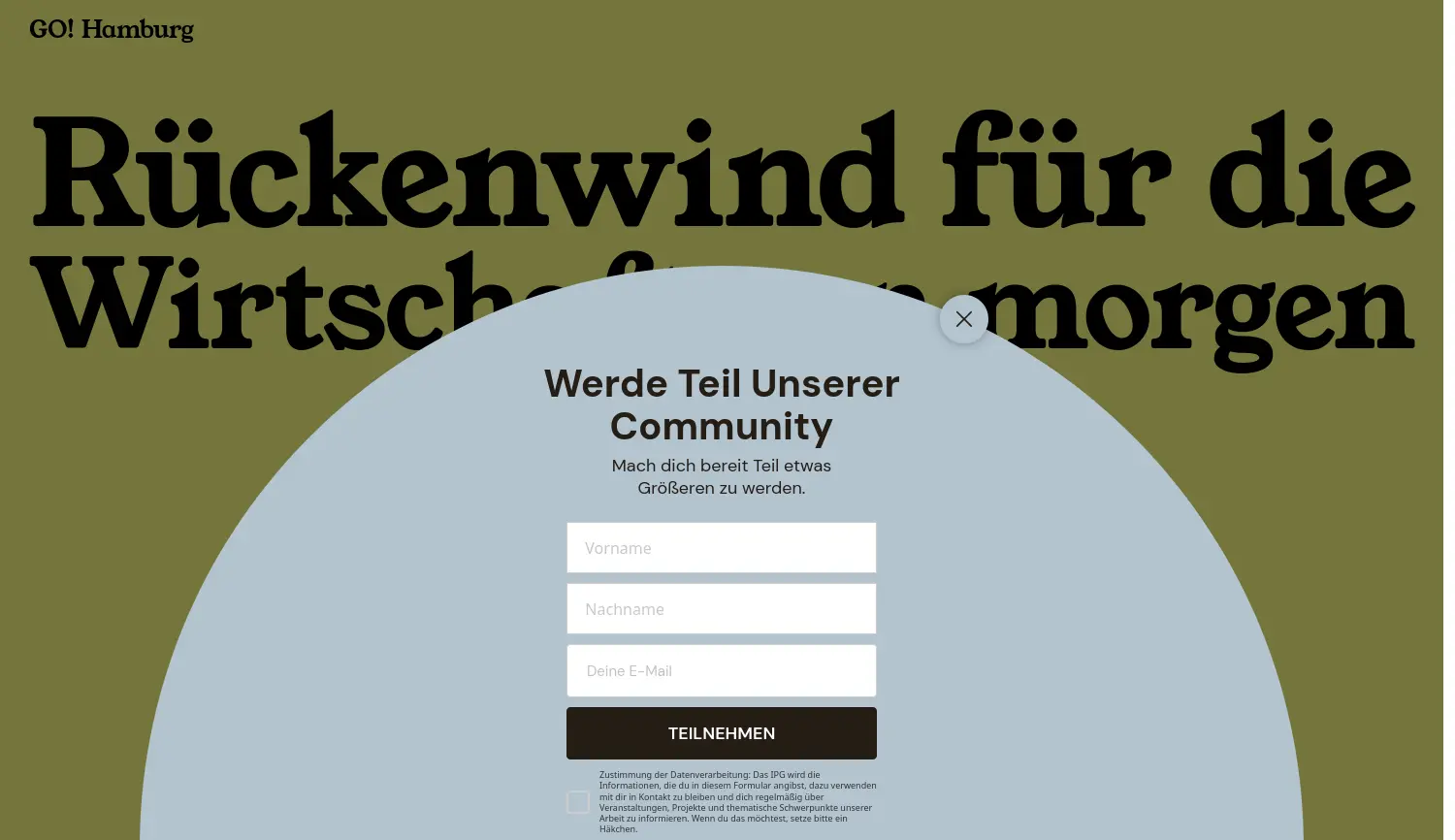 Website der Firma Institut für Partizipatives Gestalten GmbH