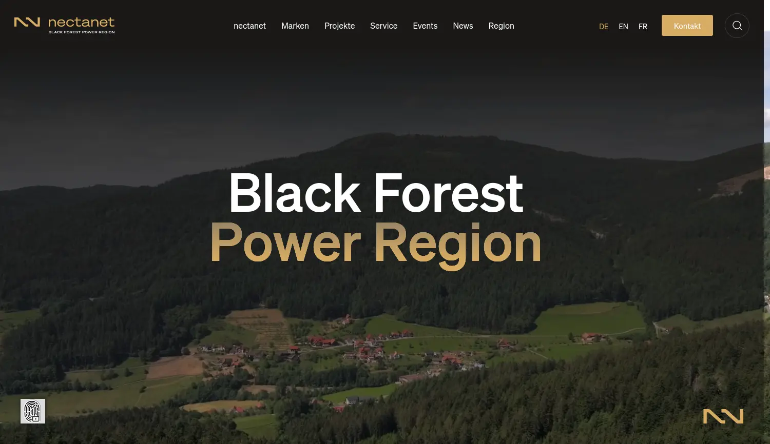 Website der Firma nectanet GmbH