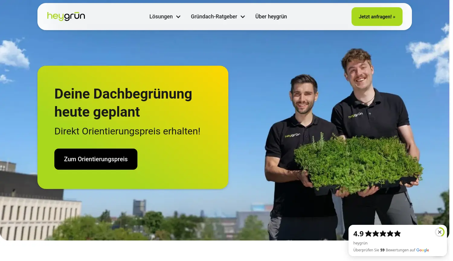 Website der Firma heygrün GmbH