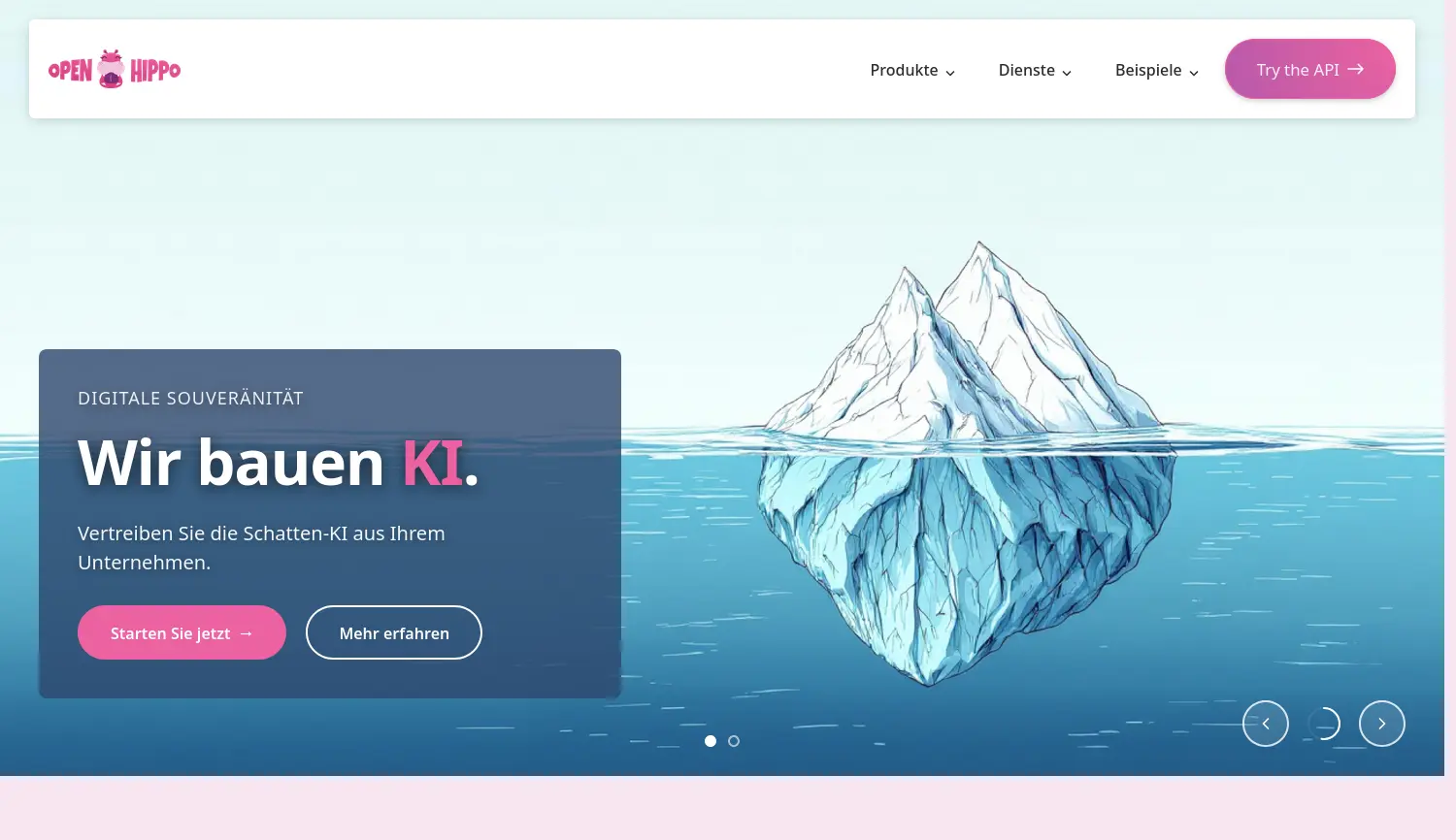 Website der Firma Open Hippo