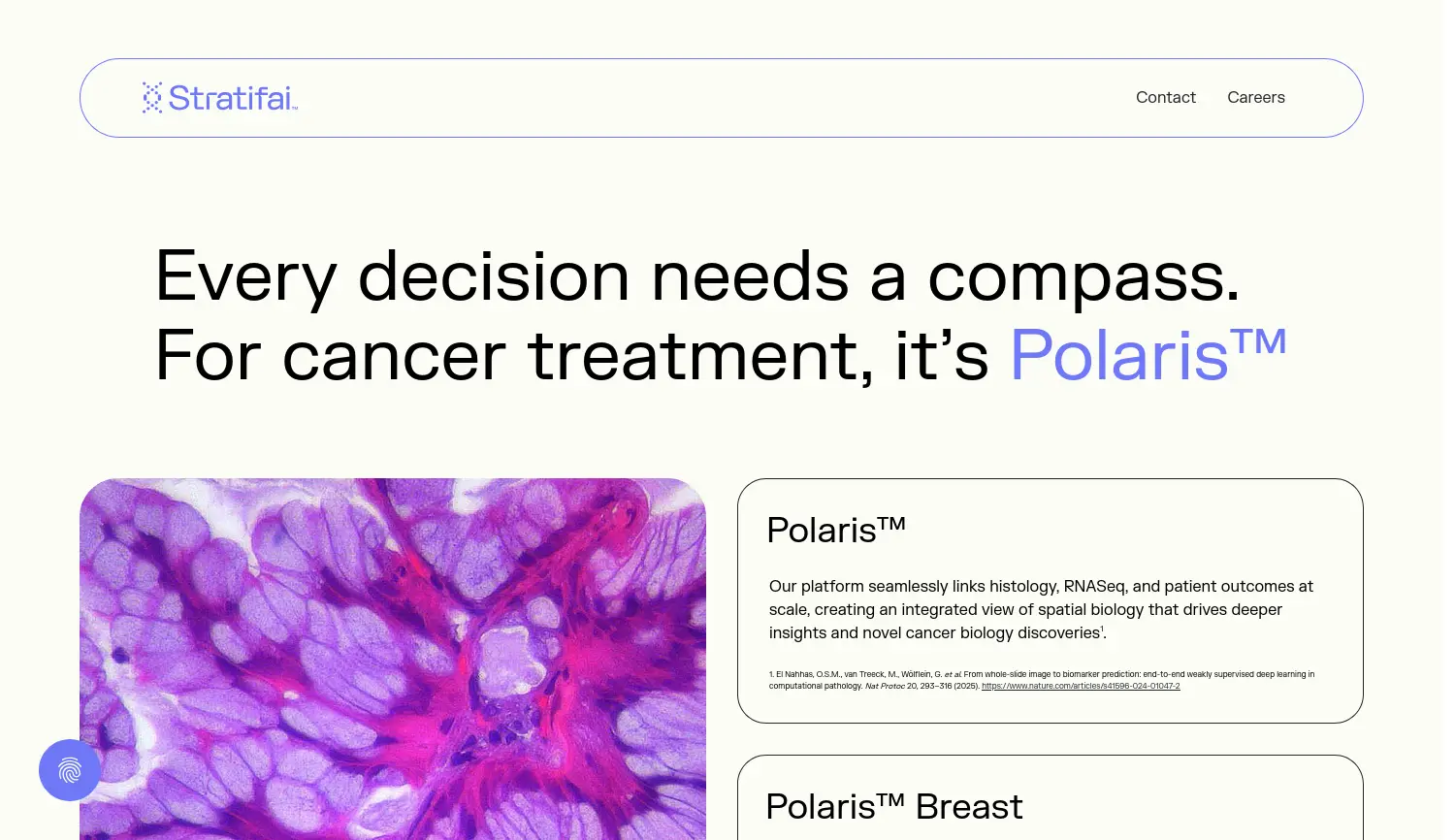 Website der Firma StratifAI GmbH