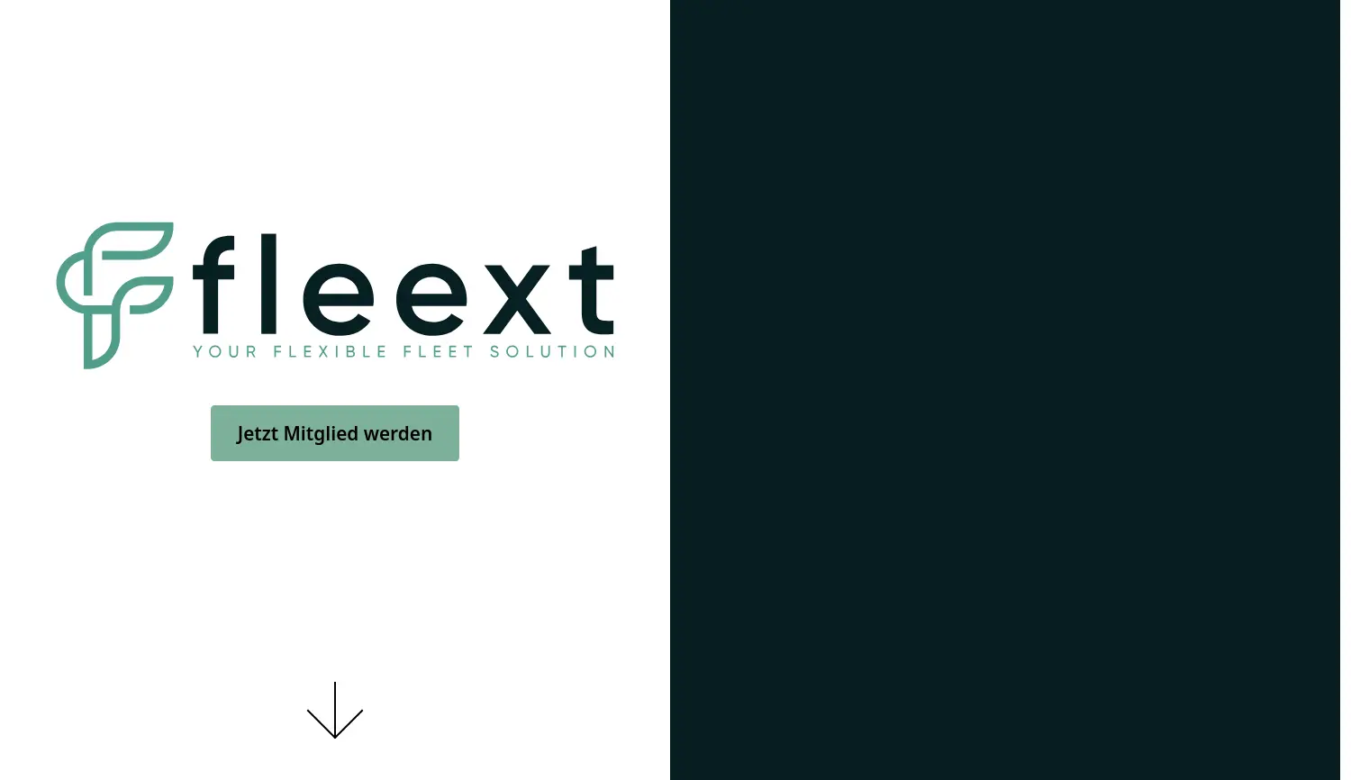 Website der Firma Fleext