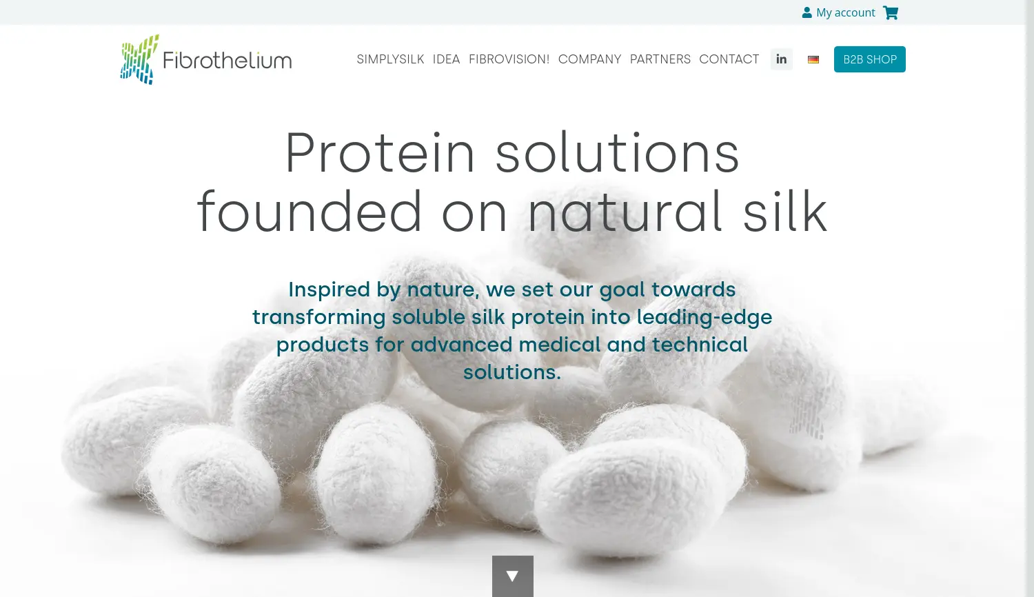 Website der Firma Fibrothelium GmbH