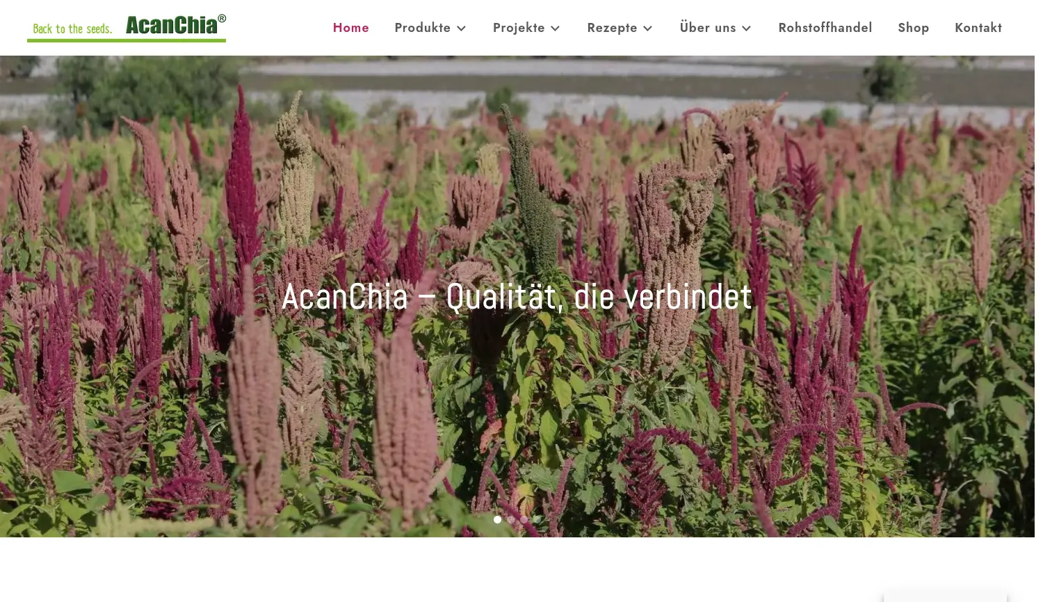 Website der Firma AcanChia UG & Co. KG
