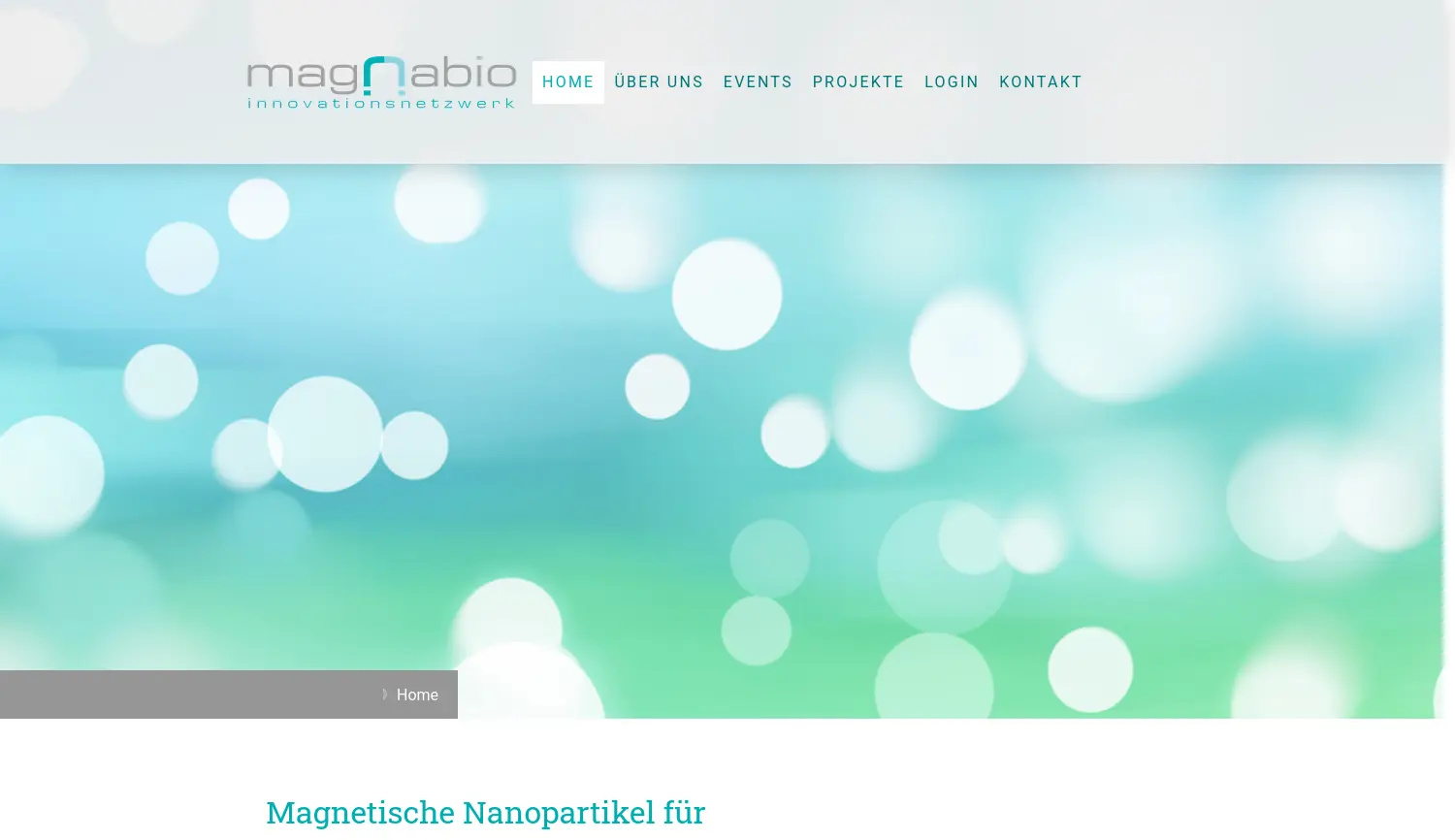 Website der Firma EurA AG