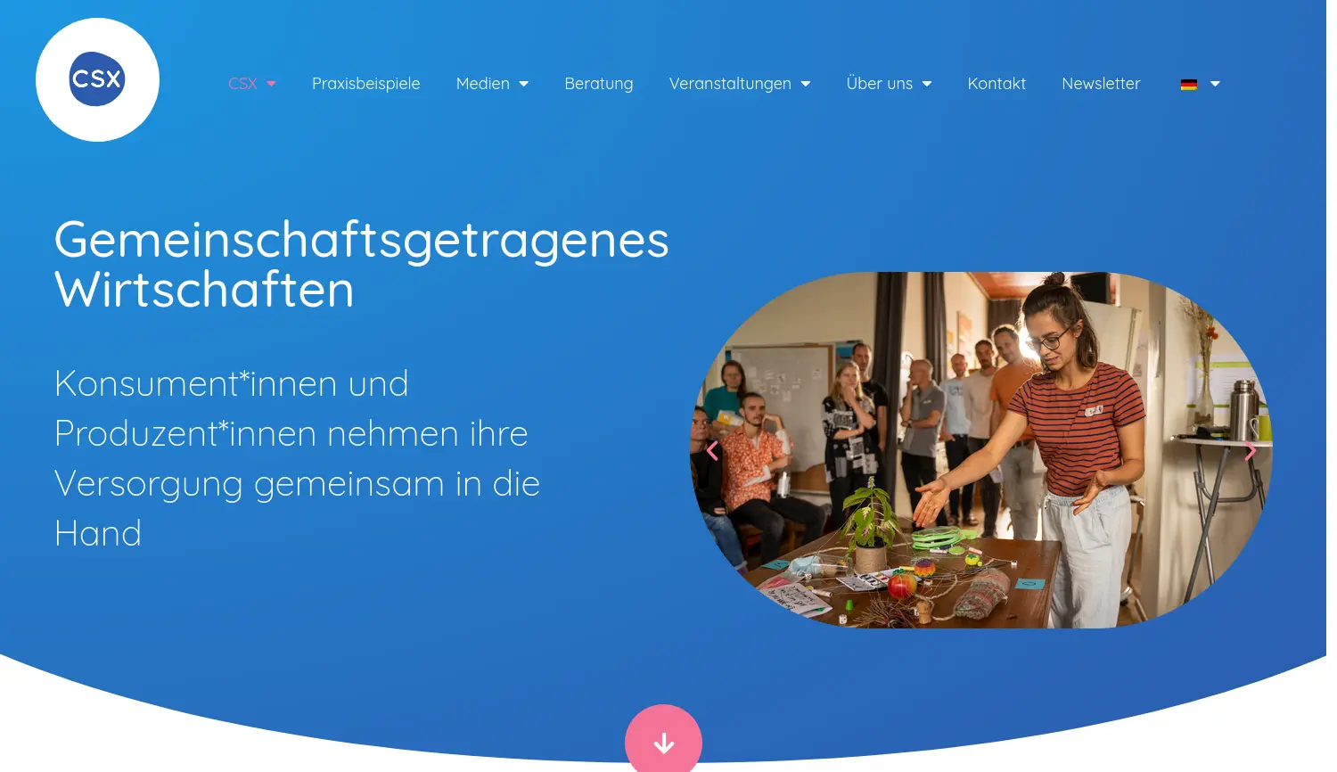 Website der Firma CSX Netzwerk e.V.