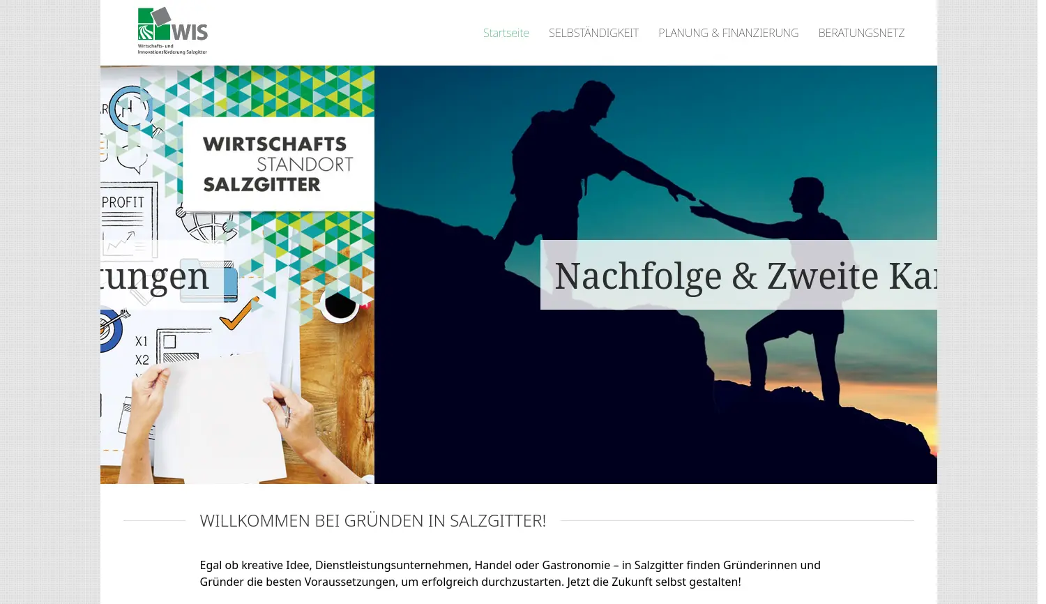 Website der Firma Wirtschafts- und Innovationsförderung Salzgitter GmbH