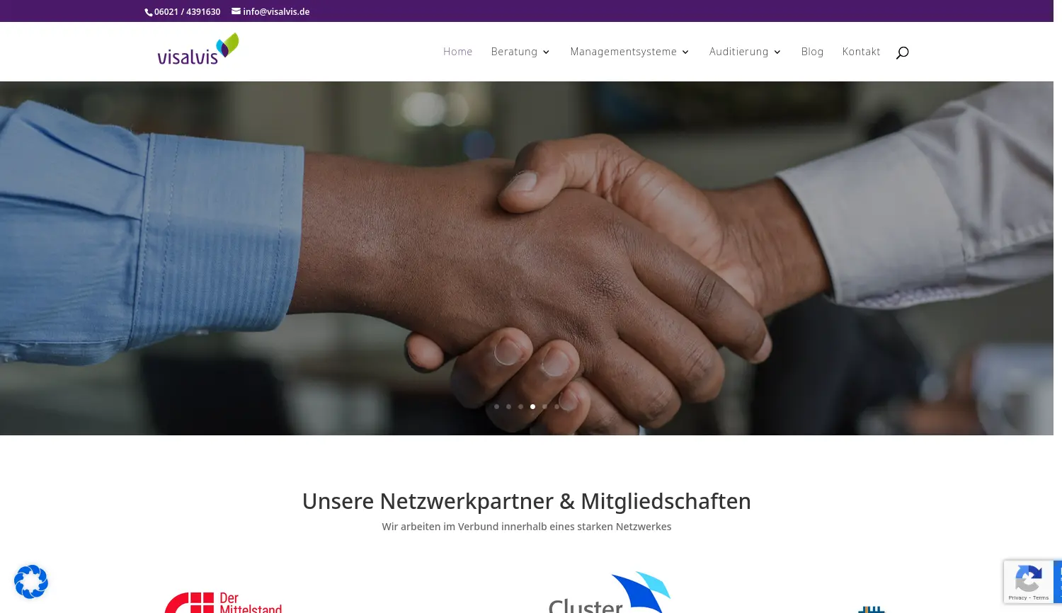Website der Firma visalvis GmbH