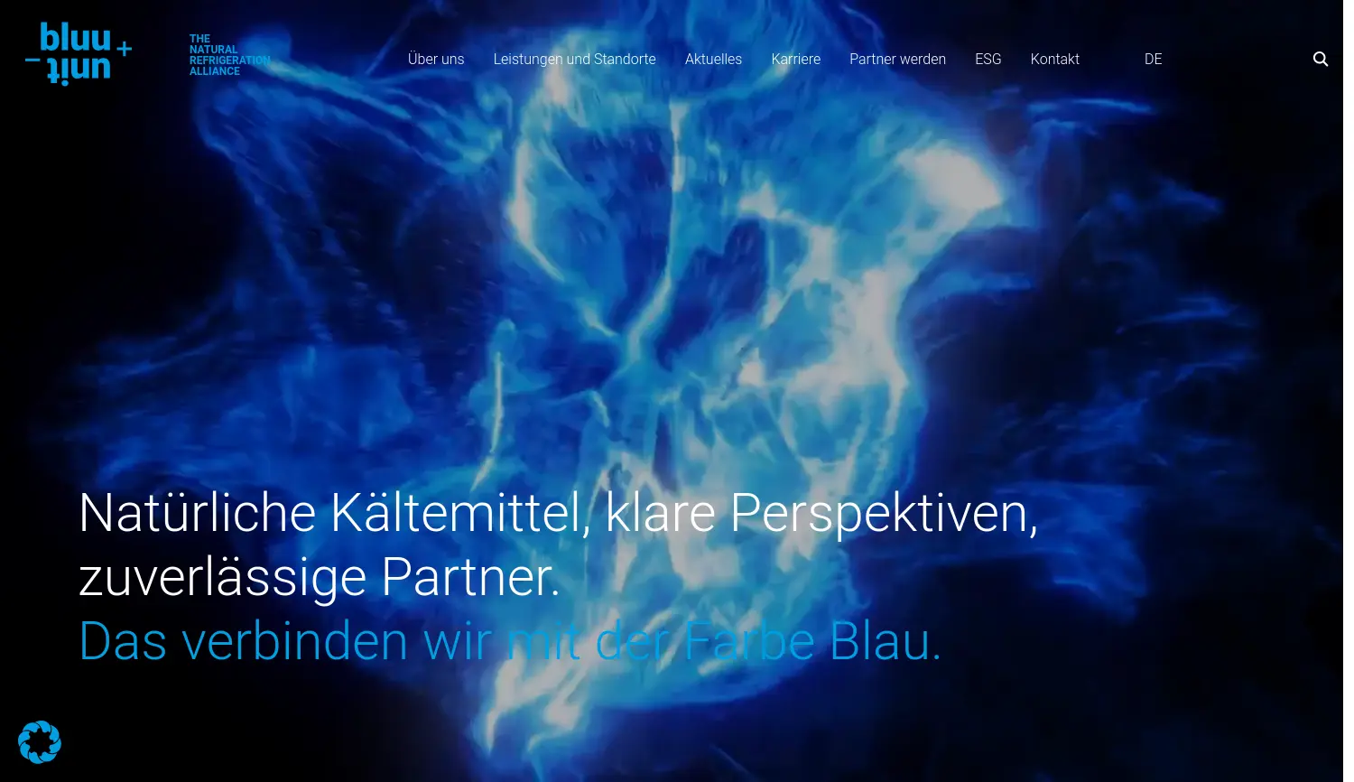 Website der Firma bluu unit GmbH