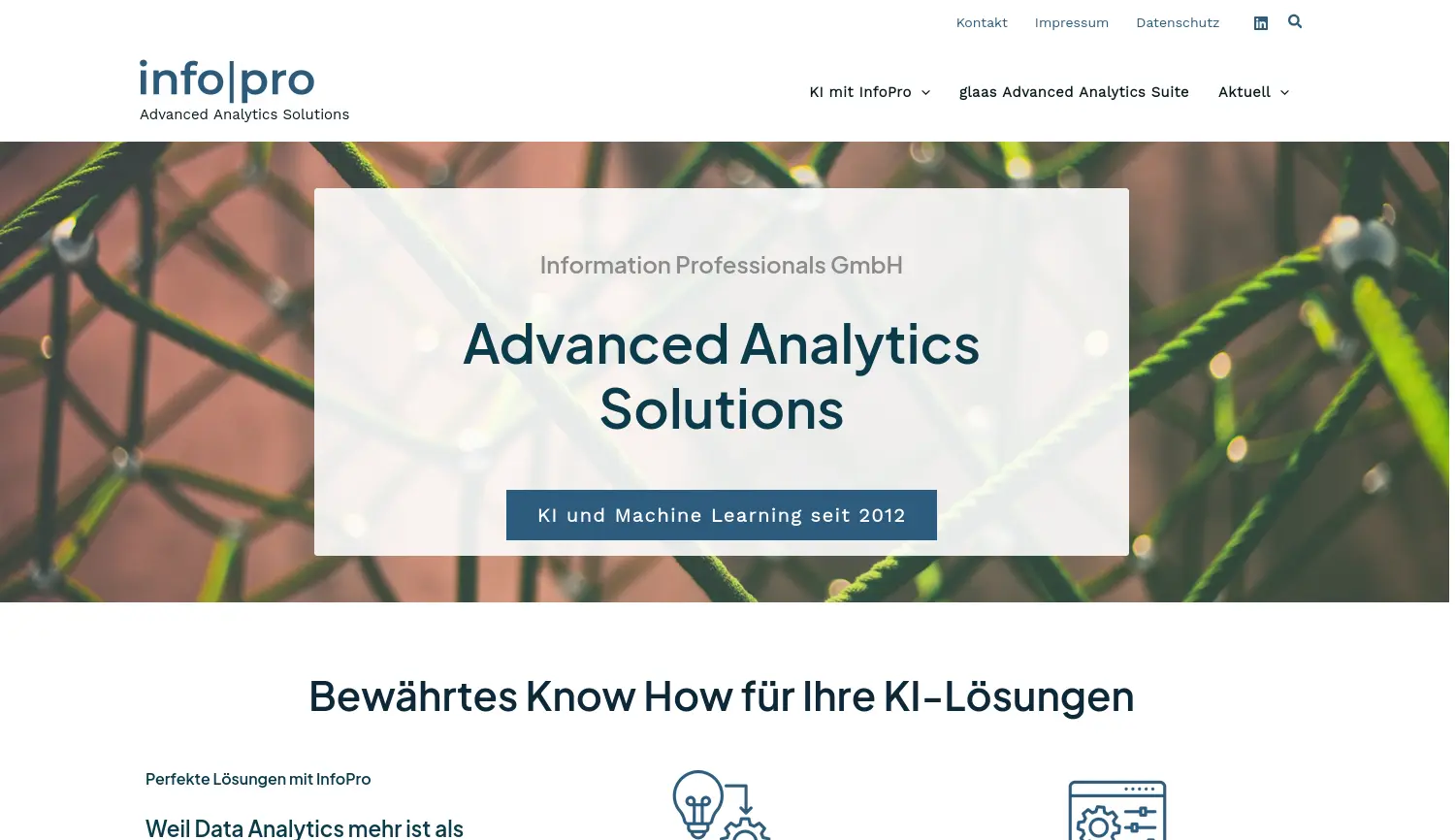 Website der Firma Information Professionals GmbH