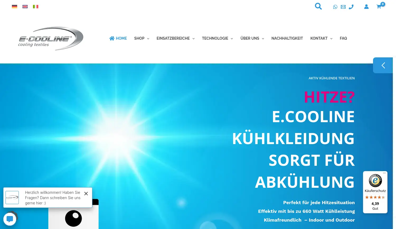 Website der Firma E.COOLINE