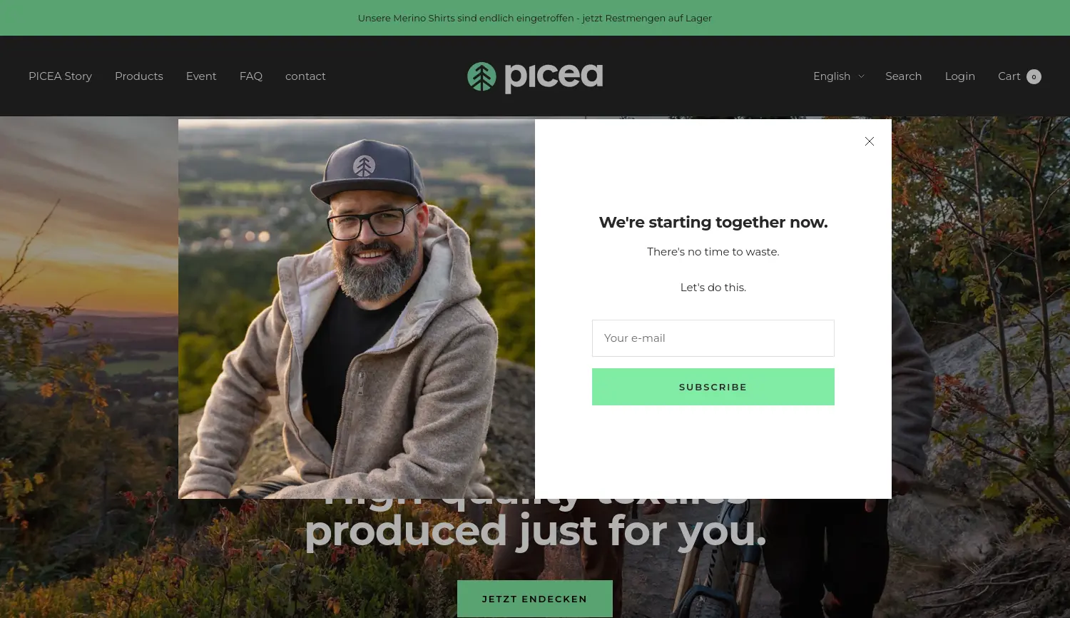 Website der Firma picea
