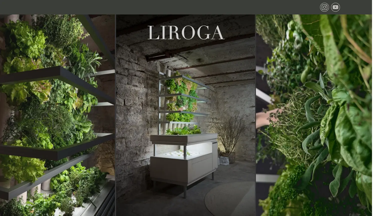 Website der Firma Stefan Kuhnert