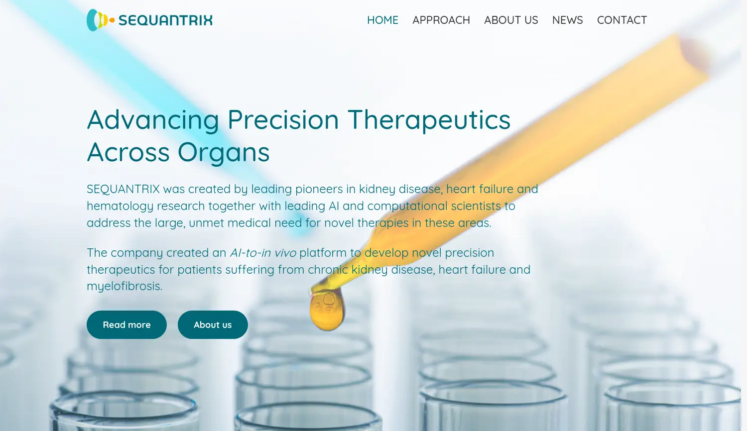 Website der Firma SEQUANTRIX GmbH