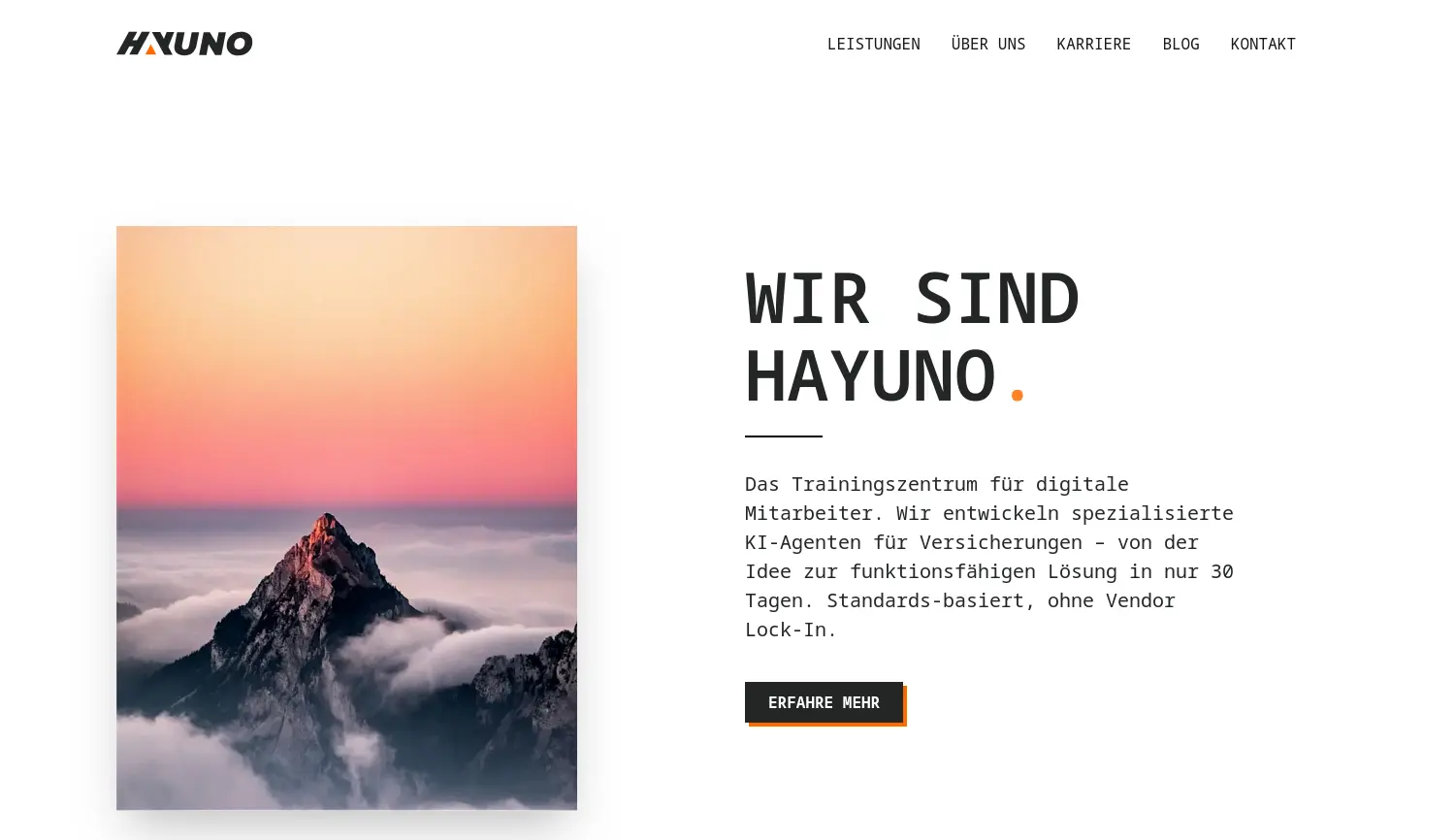 Website der Firma Hayuno AG