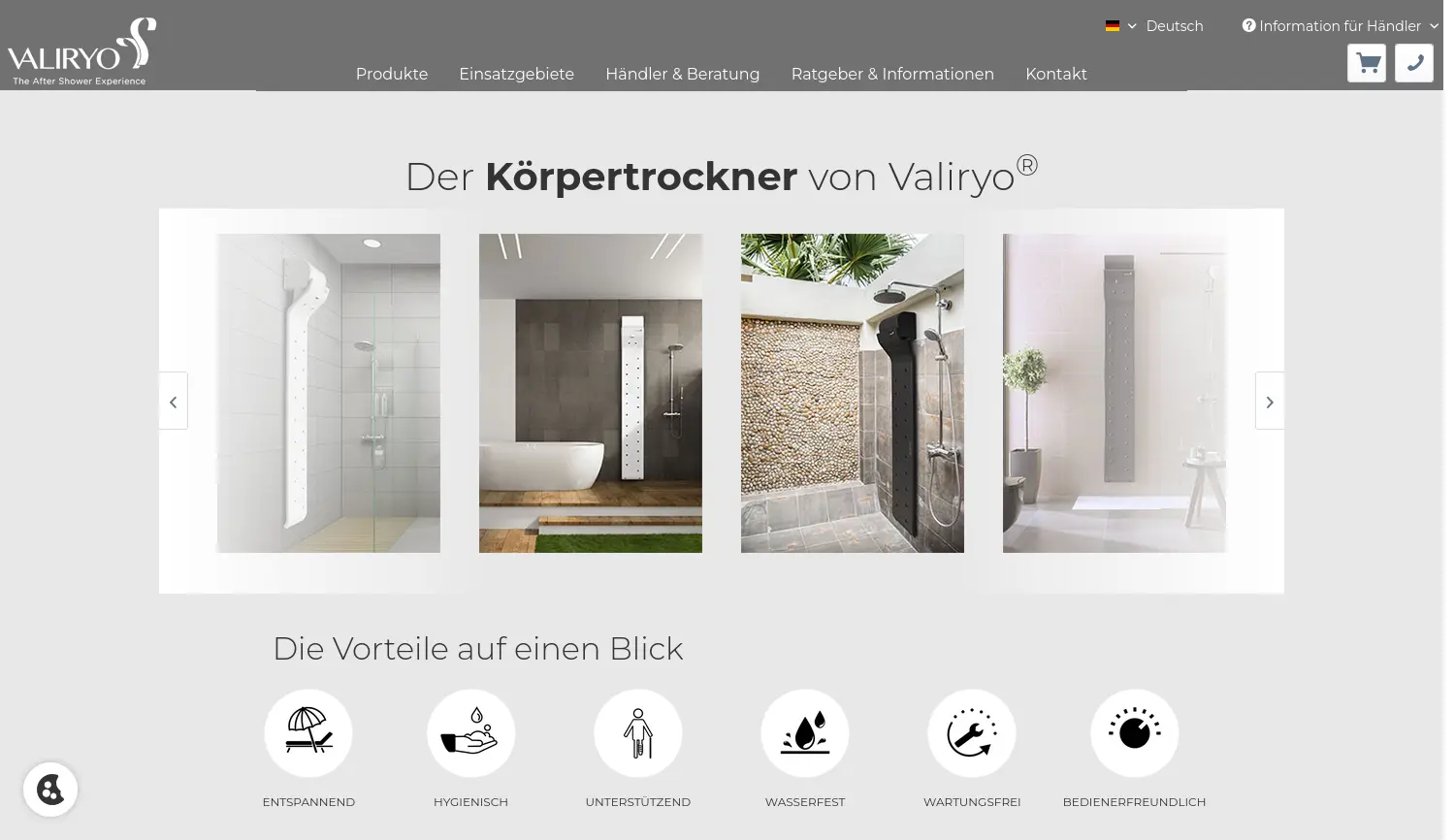 Website der Firma VALIRYO GmbH