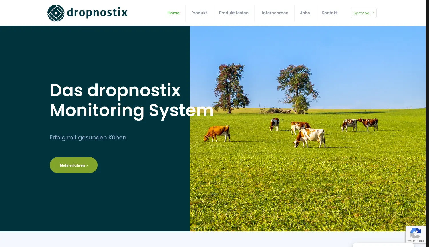 Website der Firma Wiese Sieben UG (haftungsbeschränkt)