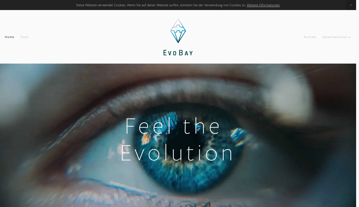 Website der Firma EVOBAY GmbH