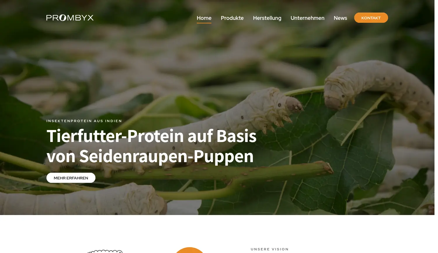 Website der Firma PROMBYX GmbH