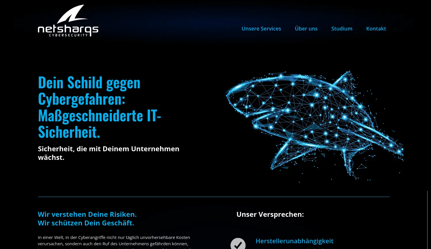 Website der Firma netsharqs GmbH