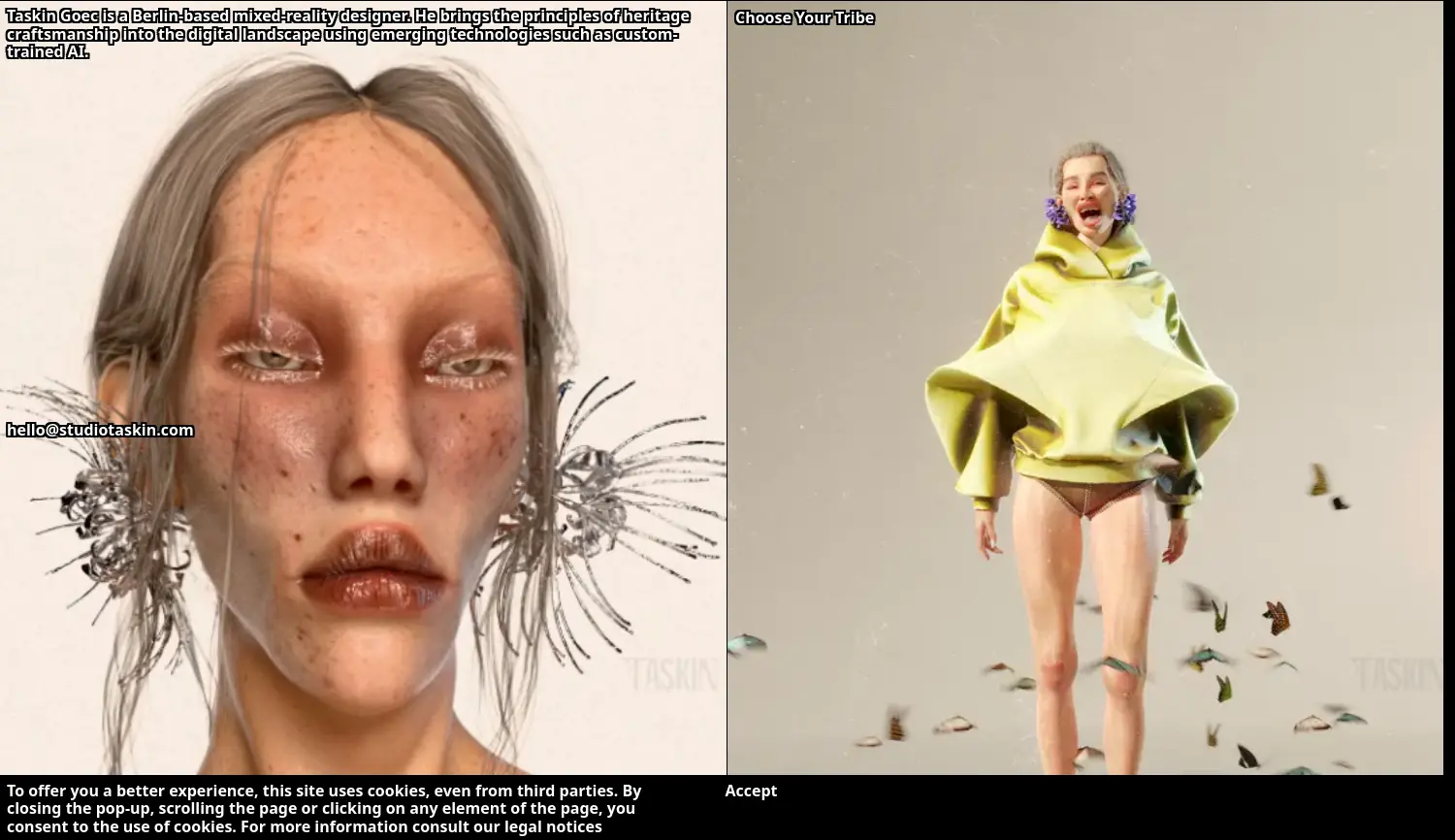 Website der Firma Taskin Denis Göc