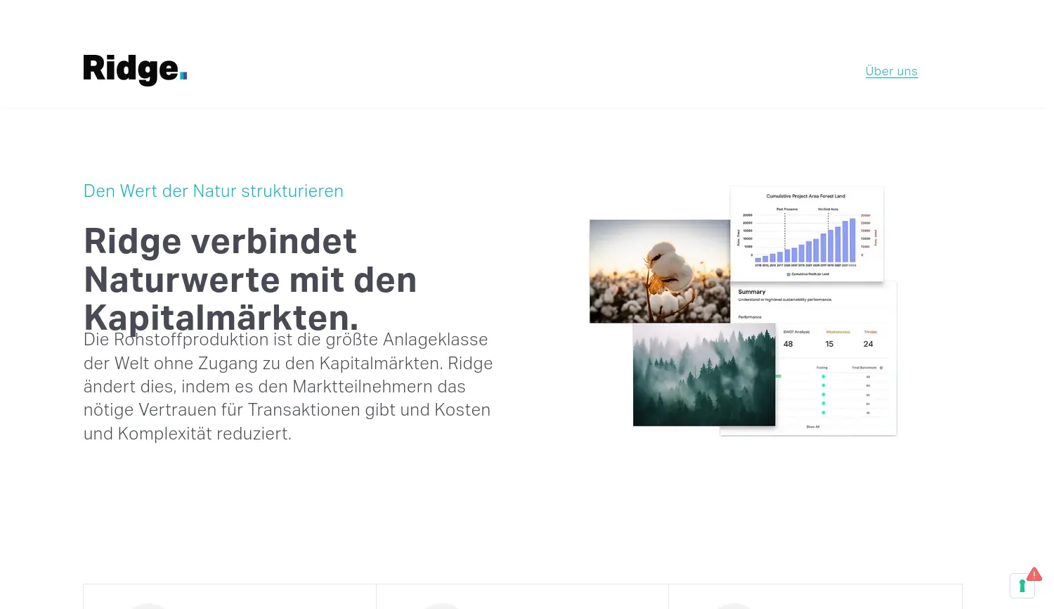 Website der Firma Ridge Capital GmbH