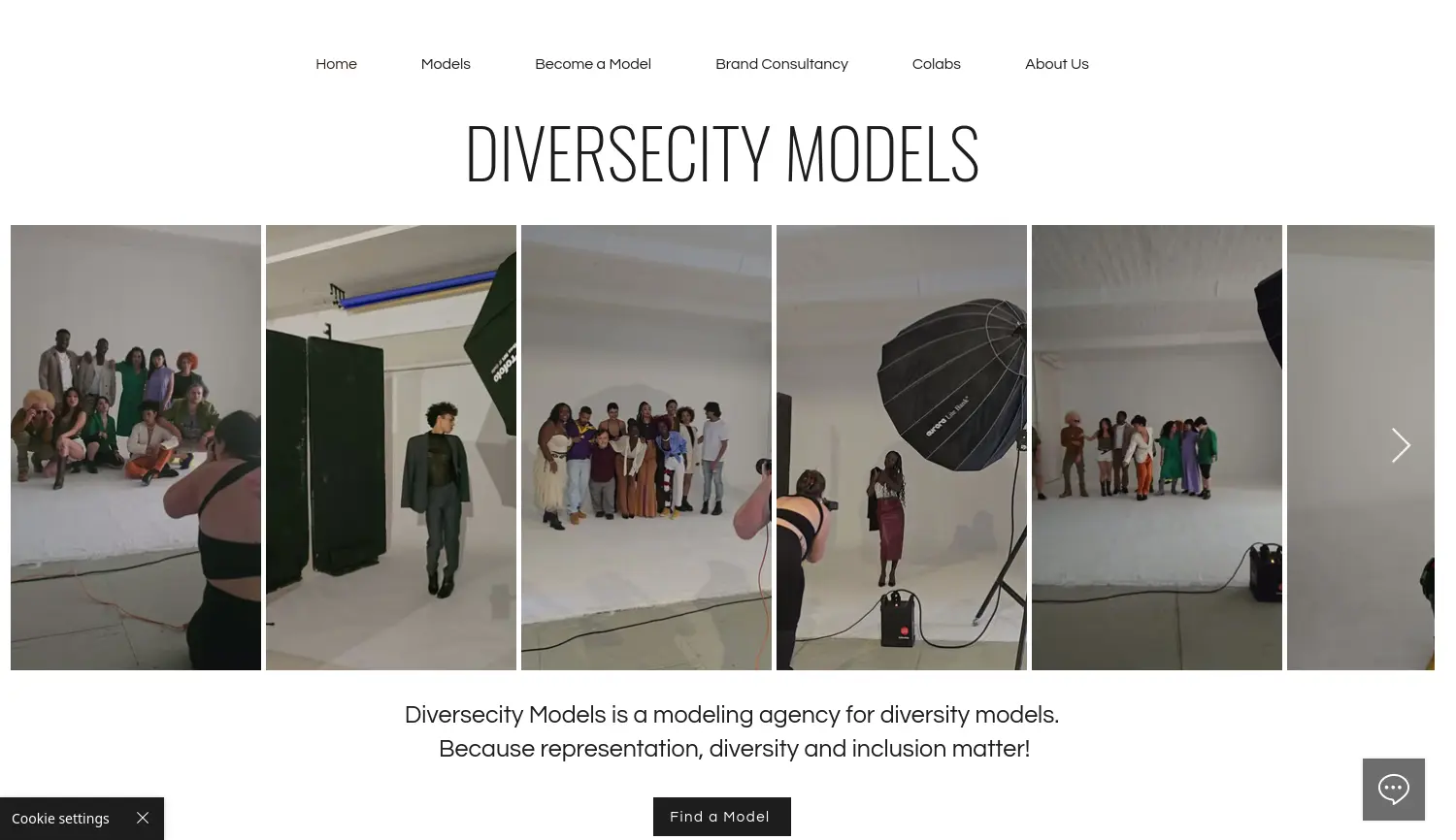 Website der Firma Diversecity Models