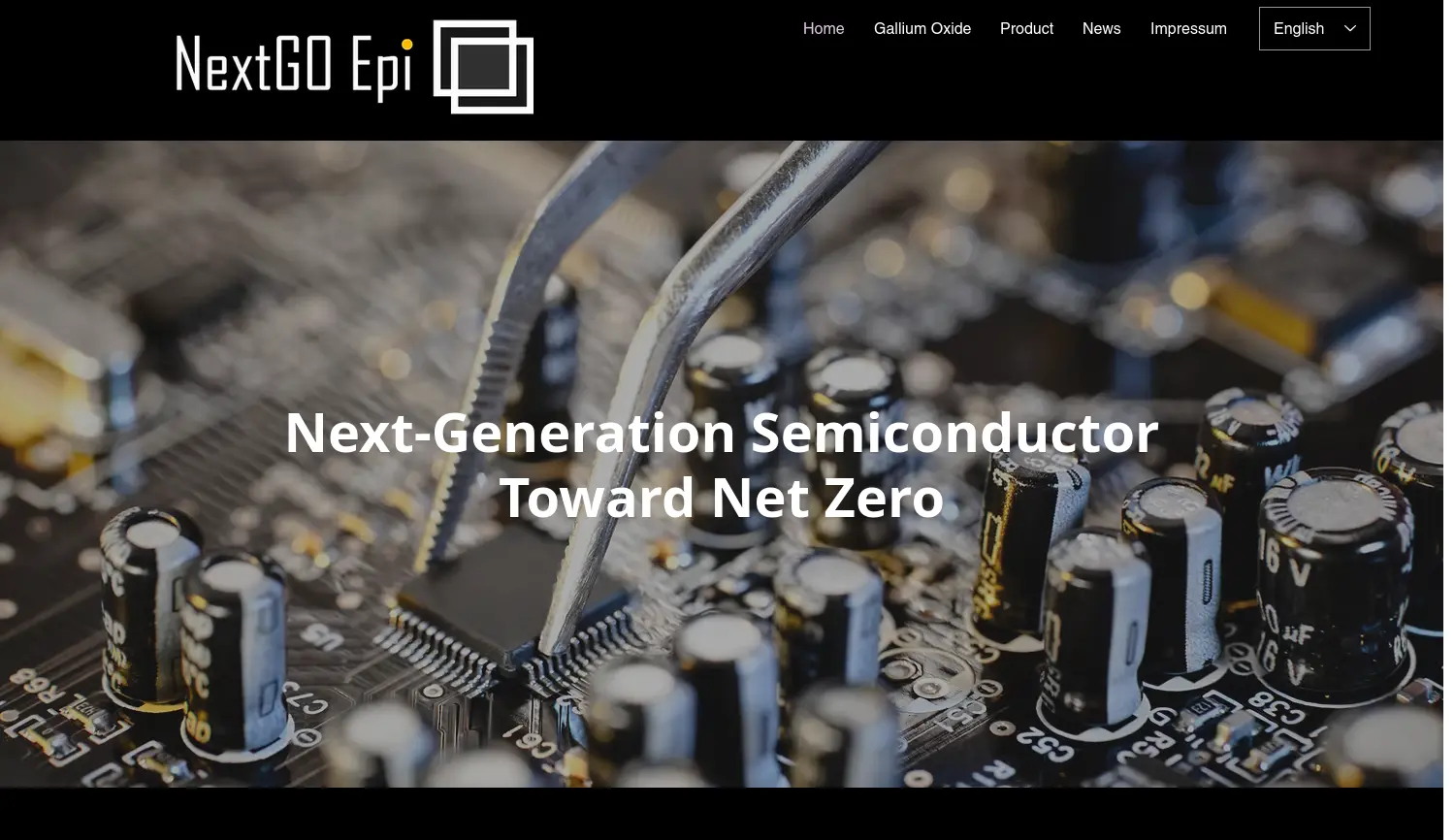 Website der Firma NextGO Epi UG