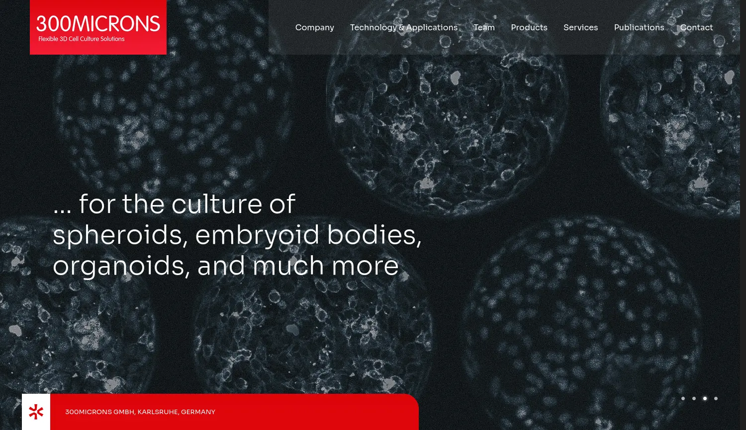 Website der Firma 300MICRONS GmbH