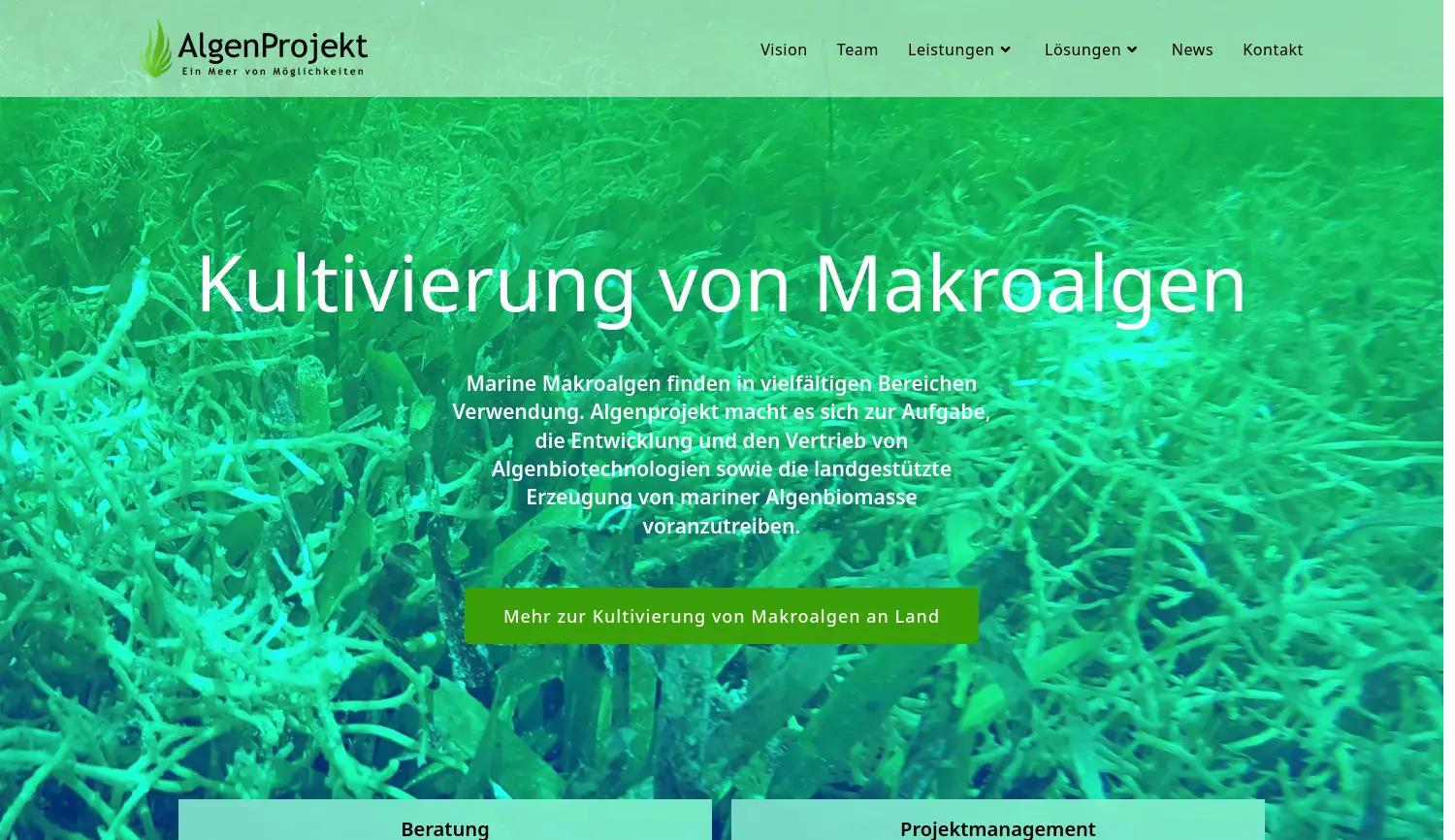 Website der Firma Algenprojekt