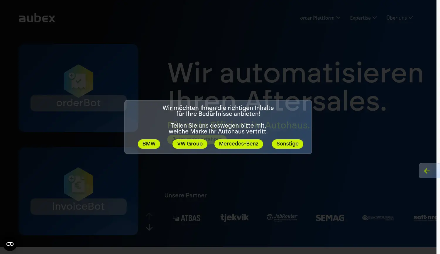 Website der Firma aubex GmbH