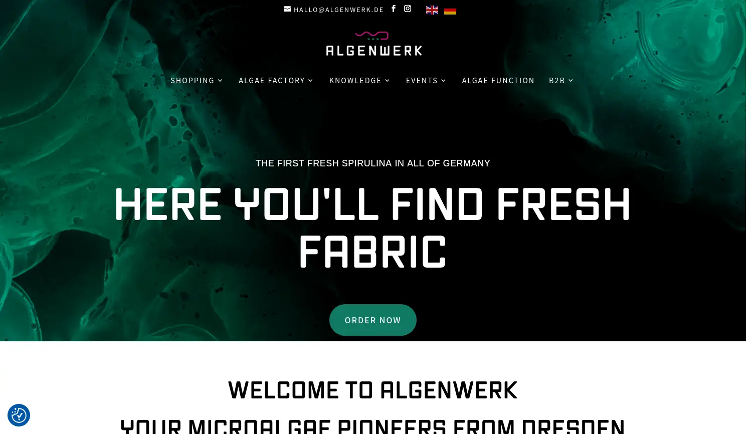 Website der Firma PUEVIT GmbH