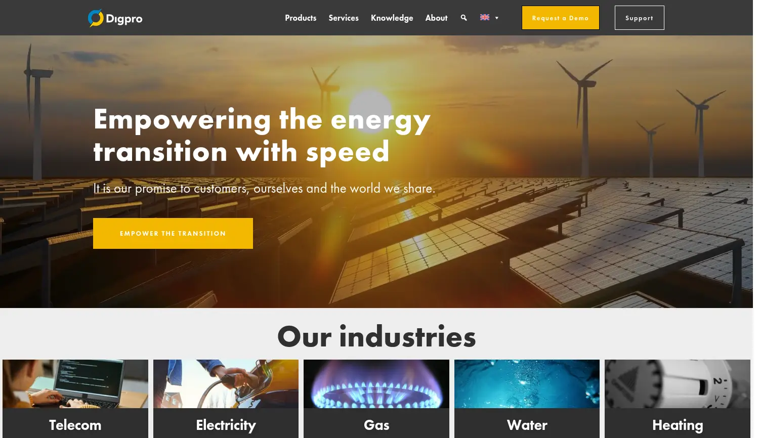 Website der Firma Digpro GmbH