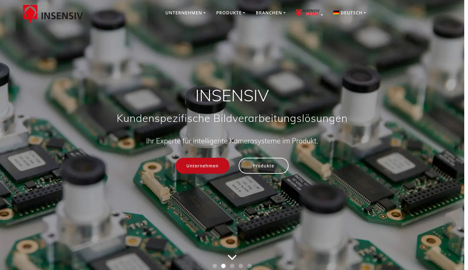 Website der Firma insensiv GmbH