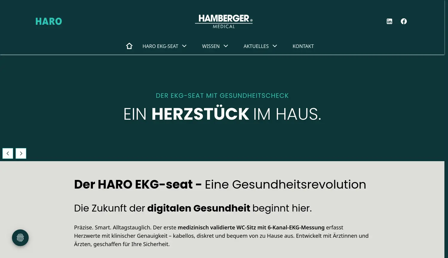 Website der Firma Hamberger Medical GmbH