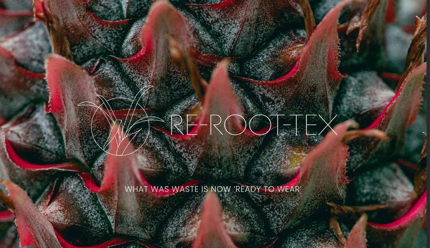 Website der Firma Re Root Tex