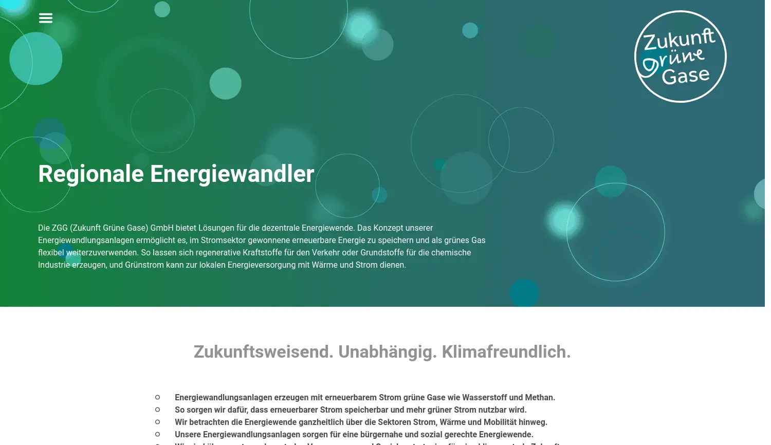 Website der Firma ZGG (Zukunft Grüne Gase) GmbH