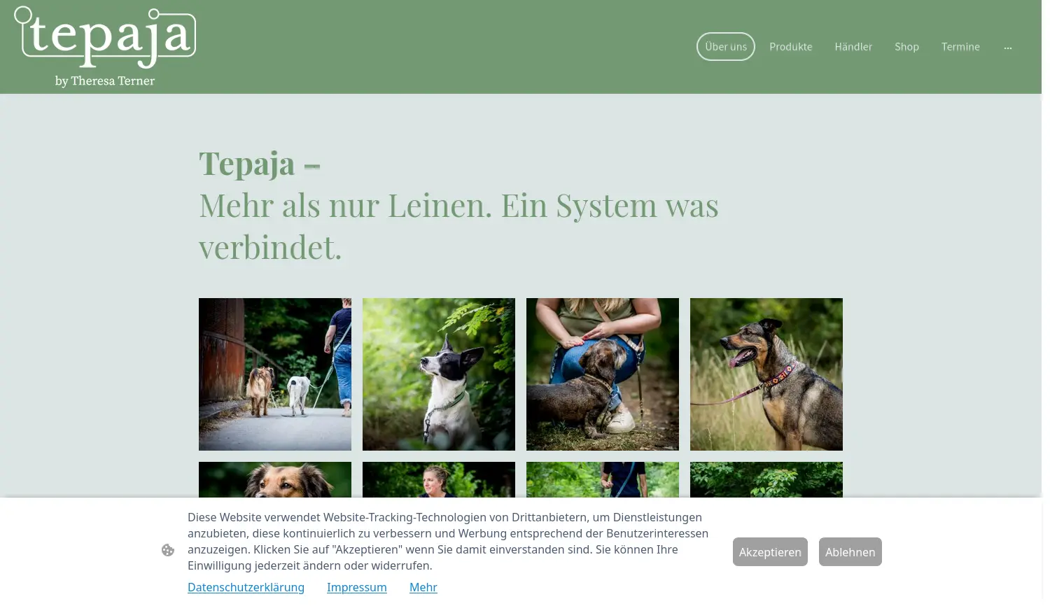 Website der Firma Theresa Terner