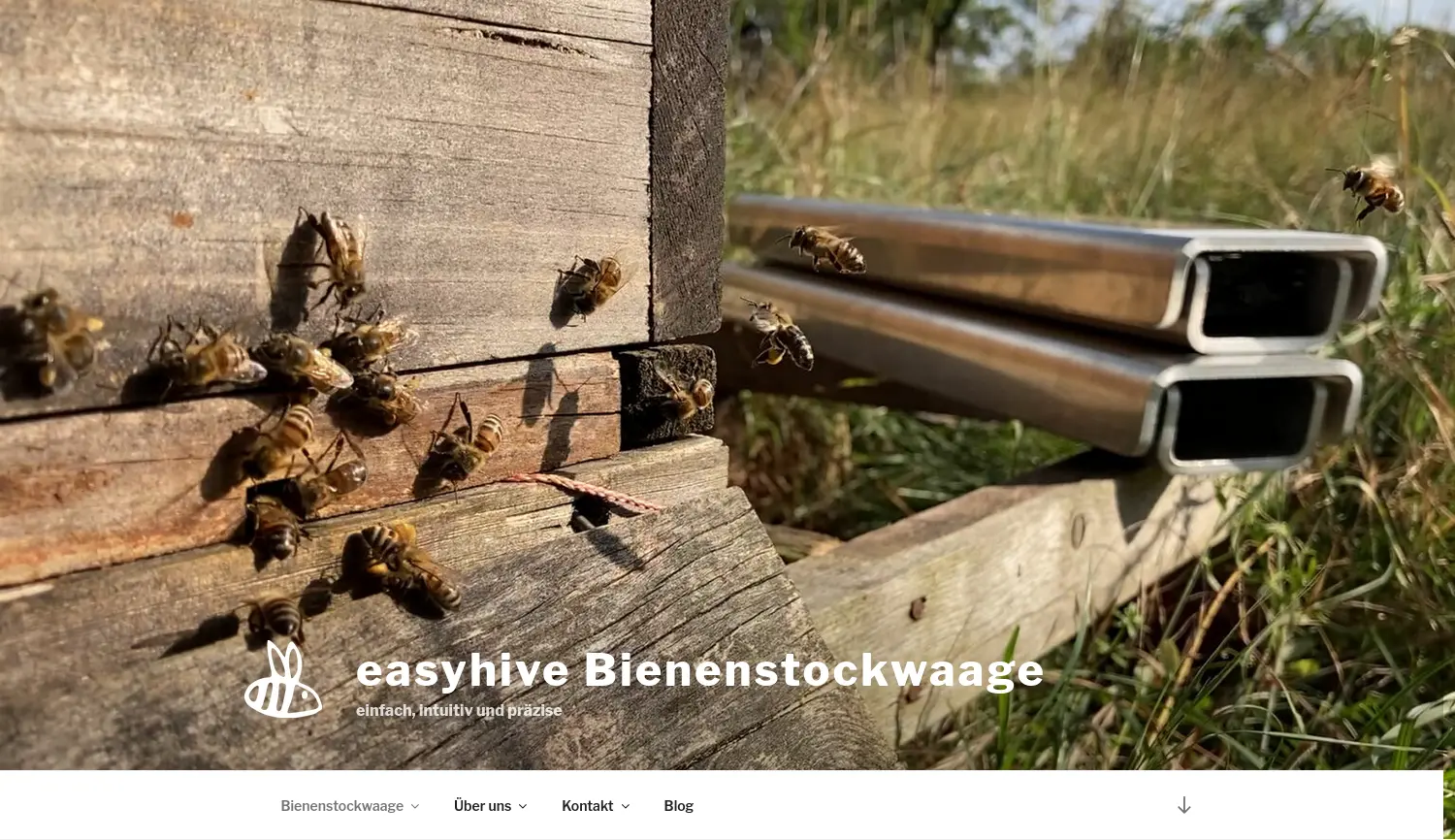 Website der Firma easyhive UG (haftungsbeschränkt)