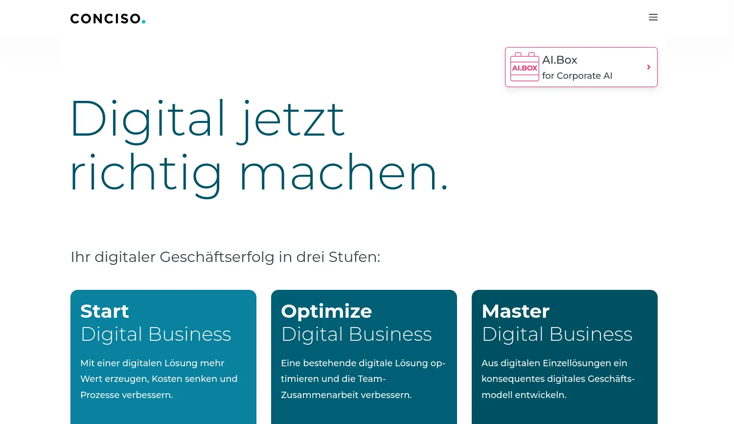 Website der Firma Conciso GmbH