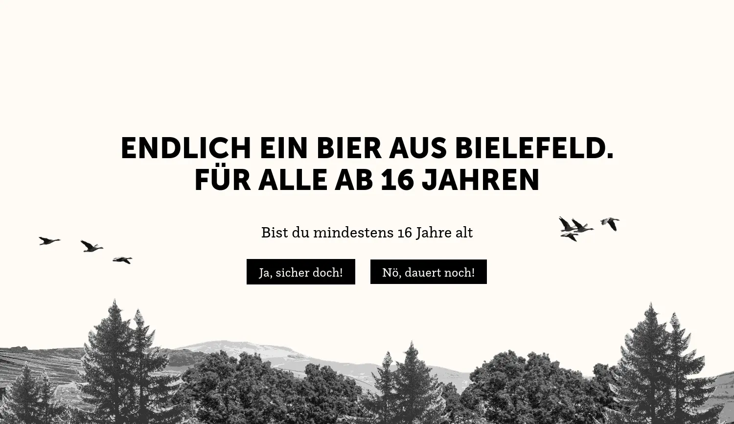 Website der Firma Bielefelder Braumanufaktur GmbH & Co. KG