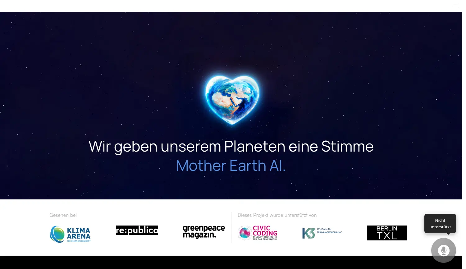 Website der Firma Falko Saalfeld