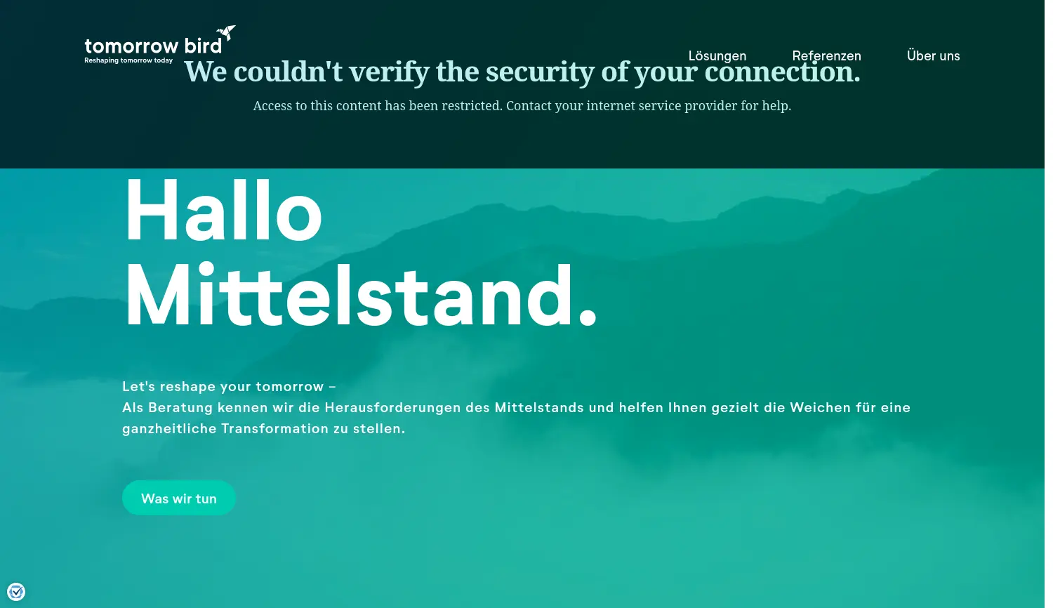 Website der Firma tomorrow bird GmbH