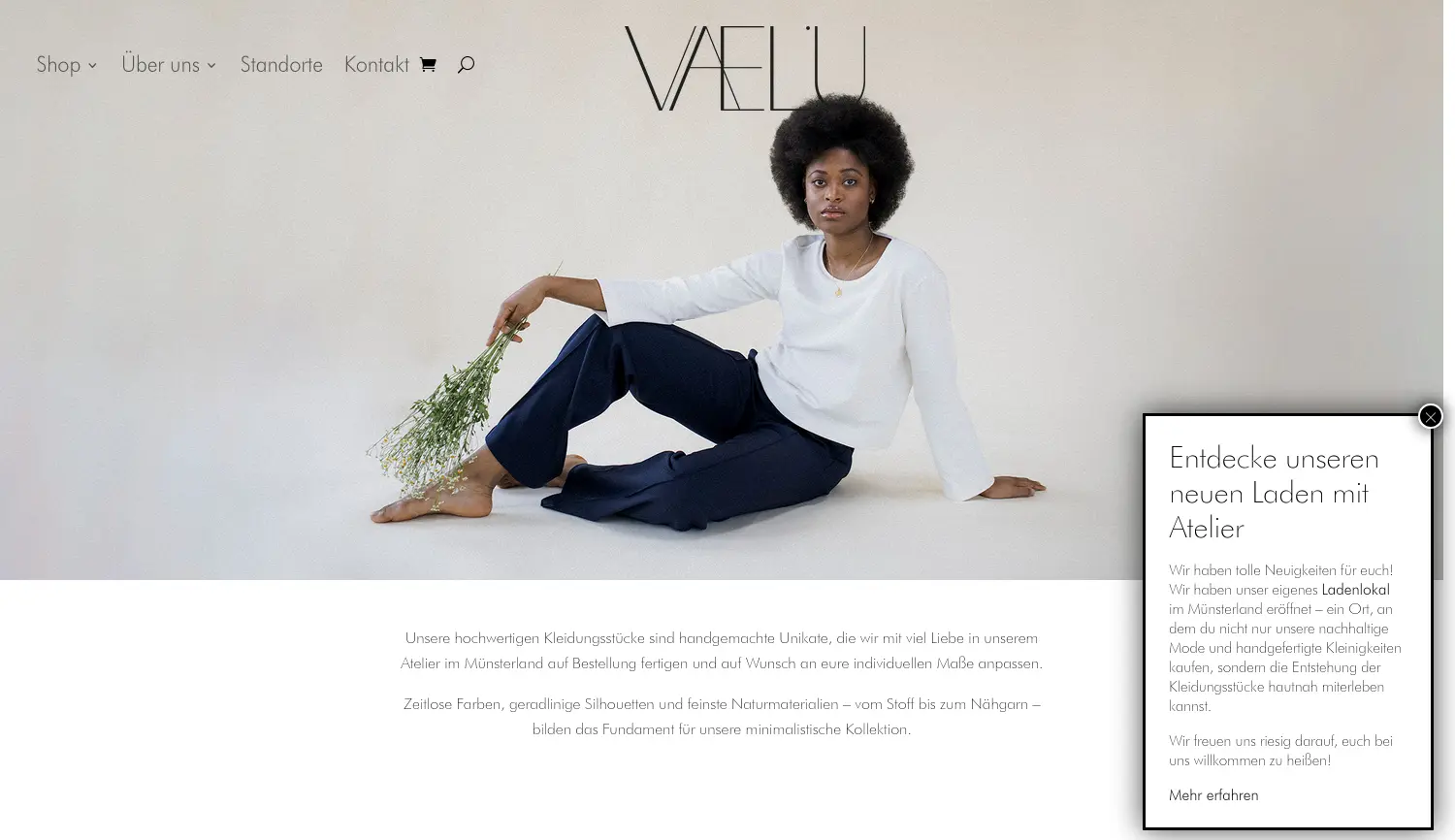 Website der Firma VAELU