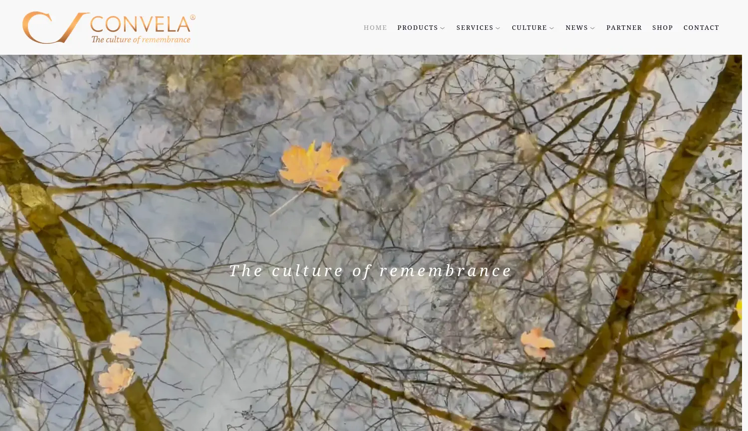 Website der Firma CONVELA GmbH