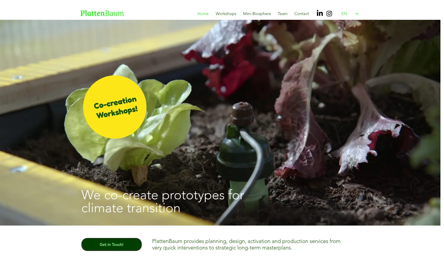 Website der Firma PlattenBaum UG (haftungsbeschränkt)