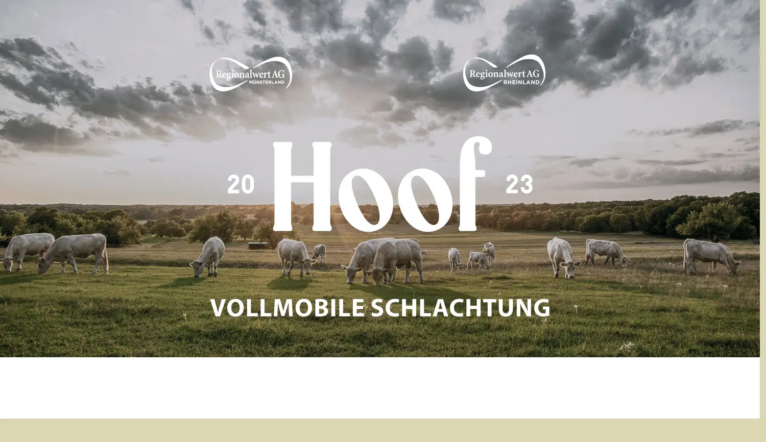 Website der Firma Mobile Regionalwert Metzgerei GmbH