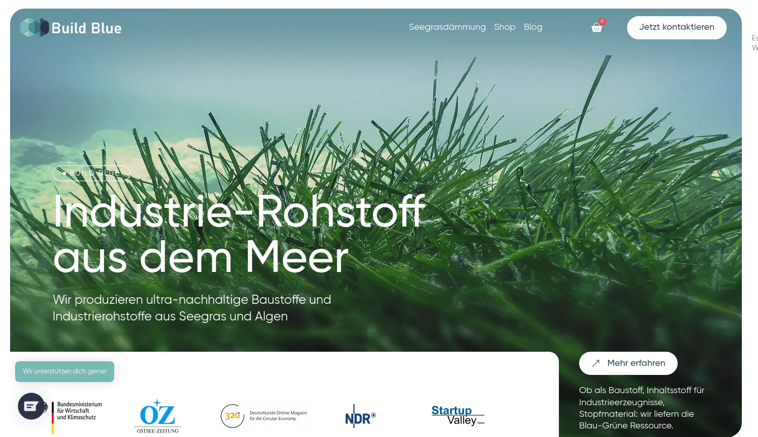Website der Firma Build Blue GmbH
