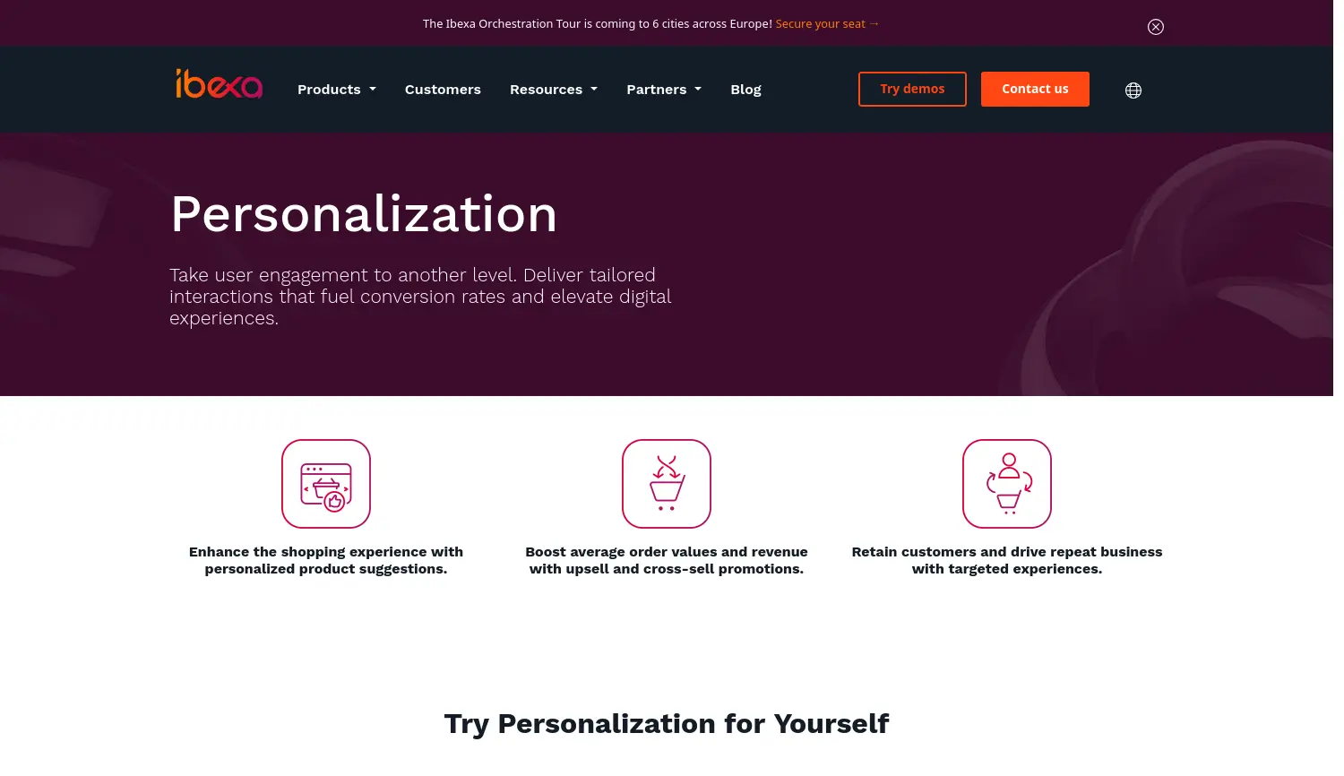 Website der Firma Ibexa GmbH